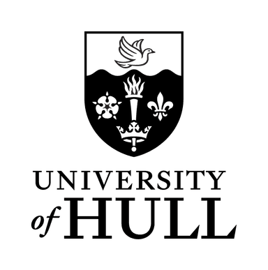 University of Hull London Logo